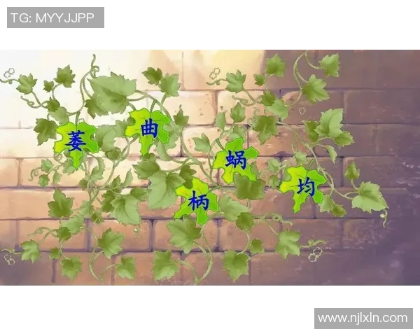 小学语文课文中的足球明星们与他们的奋斗故事